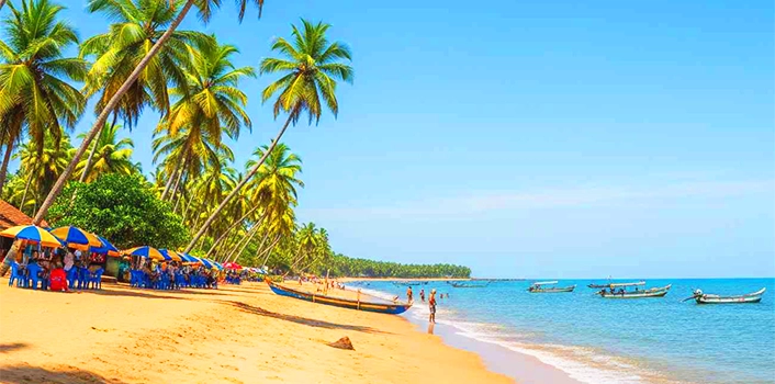 Cherai Beach: A Peaceful Coastal Escape Near Kochi