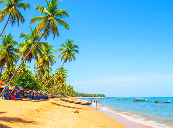 Cherai Beach: A Peaceful Coastal Escape Near Kochi